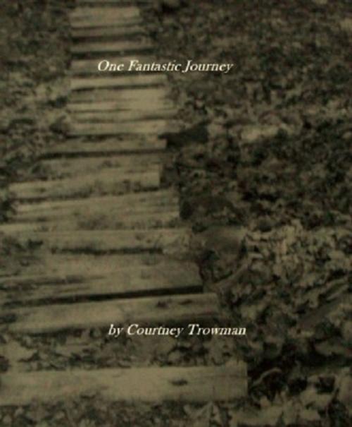 Cover of the book One Fantastic Journey by Courtney Trowman, Courtney Trowman