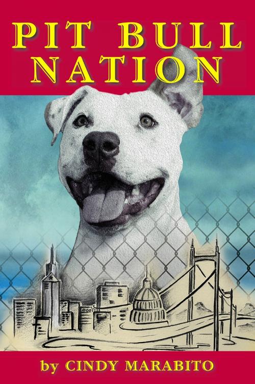 Cover of the book Pit Bull Nation by Cindy Marabito, Cindy Marabito
