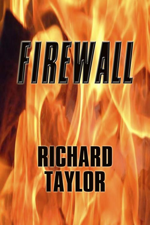 Cover of the book Firewall by Richard Taylor, Richard Taylor