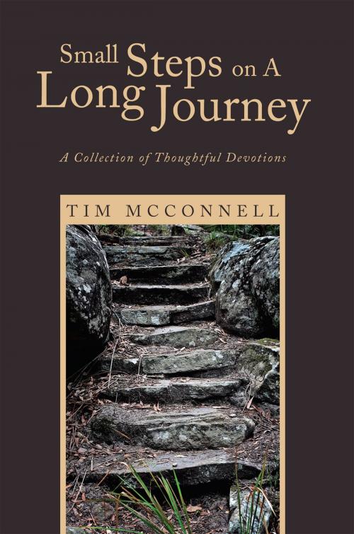 Cover of the book Small Steps on a Long Journey by Tim McConnell, Xlibris US