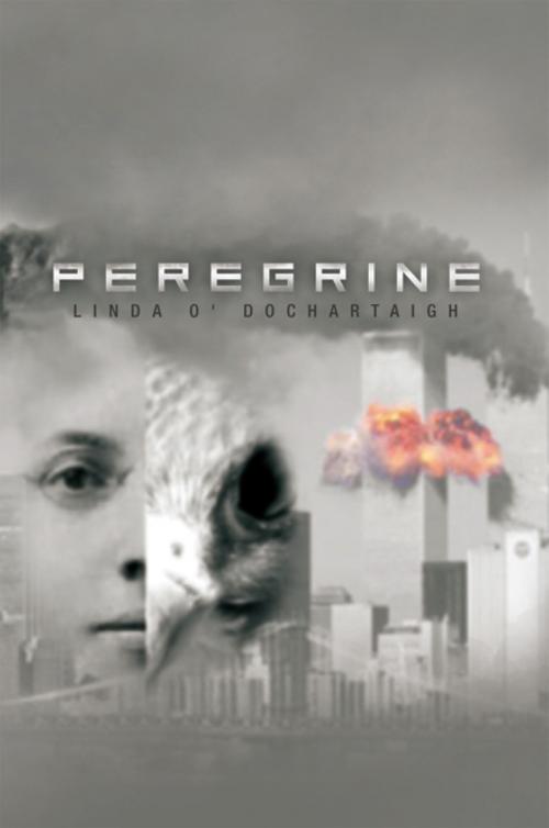 Cover of the book Peregrine by Linda O’Dochartaigh, Xlibris US