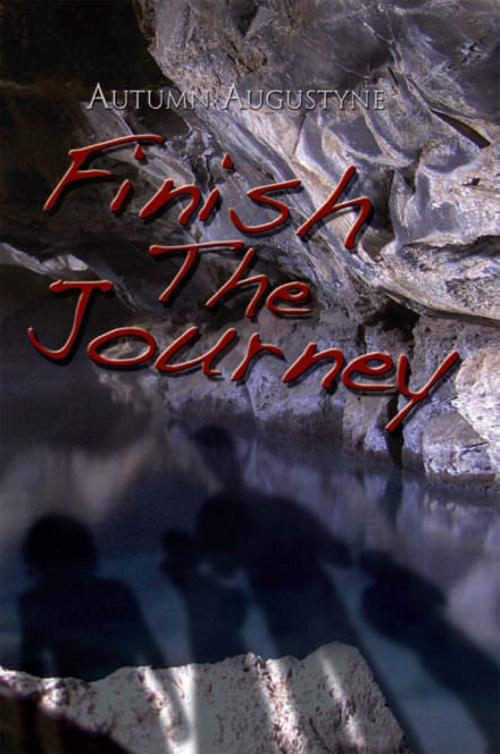 Cover of the book Finish the Journey by Autumn Augustyne, Xlibris US