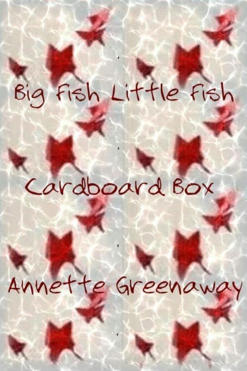 Cover of the book Big Fish Little Fish Cardboard Box by Annette Greenaway, Philistine Press