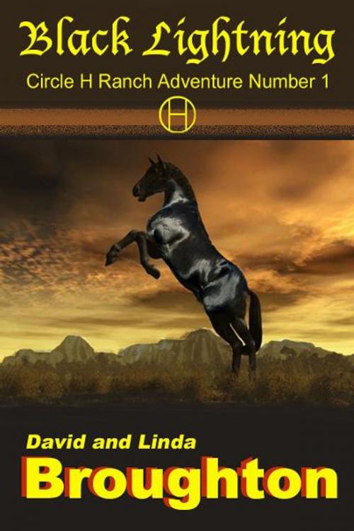 Cover of the book Black Lightning by David and Linda Broughton, David and Linda Broughton