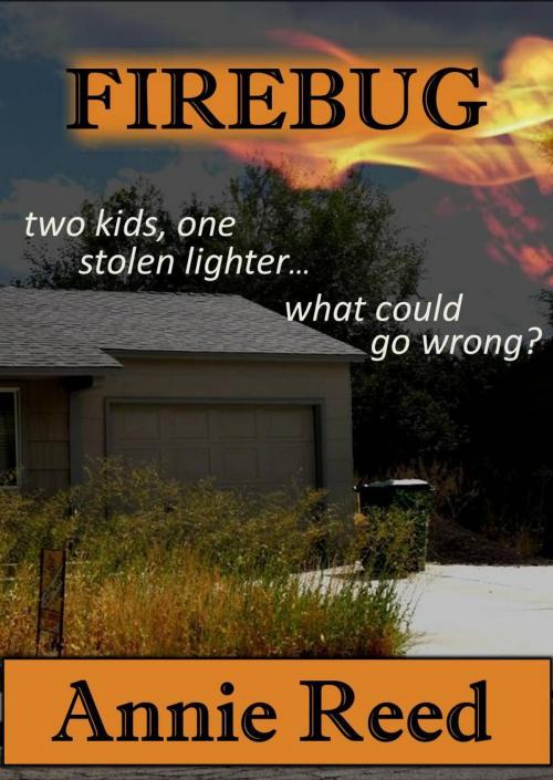 Cover of the book Firebug by Annie Reed, Thunder Valley Press
