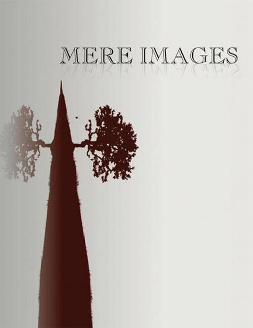 Cover of the book Mere Images by T. Dove Lourde, Xlibris US