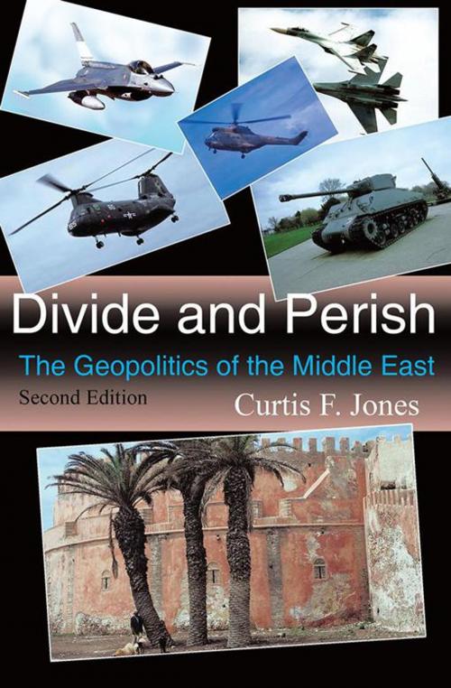 Cover of the book Divide and Perish by Curtis F. Jones, AuthorHouse