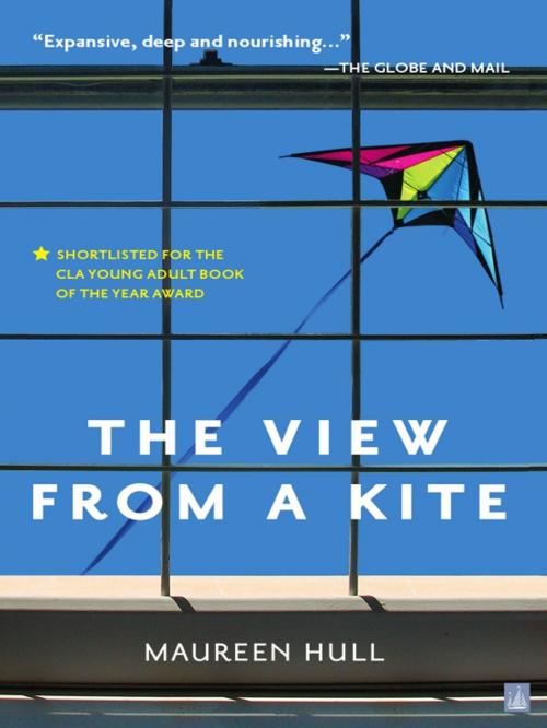 Cover of the book The View from a Kite by Maureen Hull, Nimbus