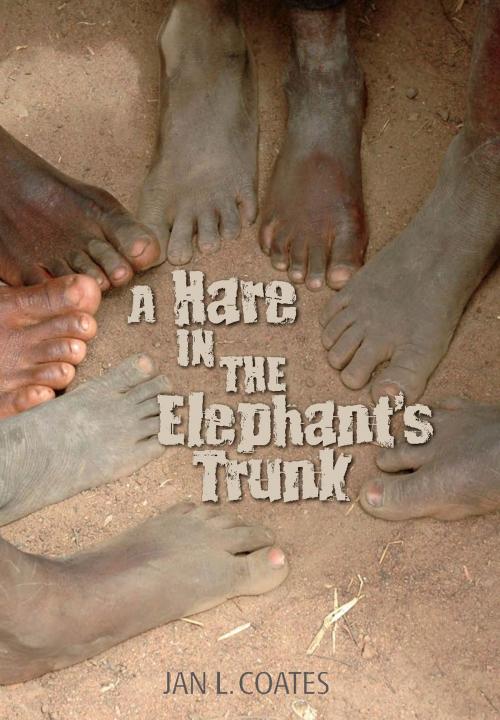 Cover of the book Hare in the Elephant's Trunk by Jan Coates, Red Deer Press