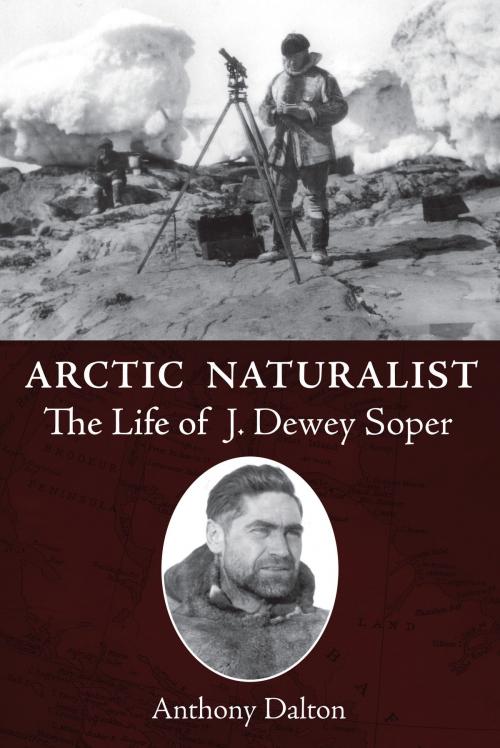 Cover of the book Arctic Naturalist by Anthony Dalton, Dundurn