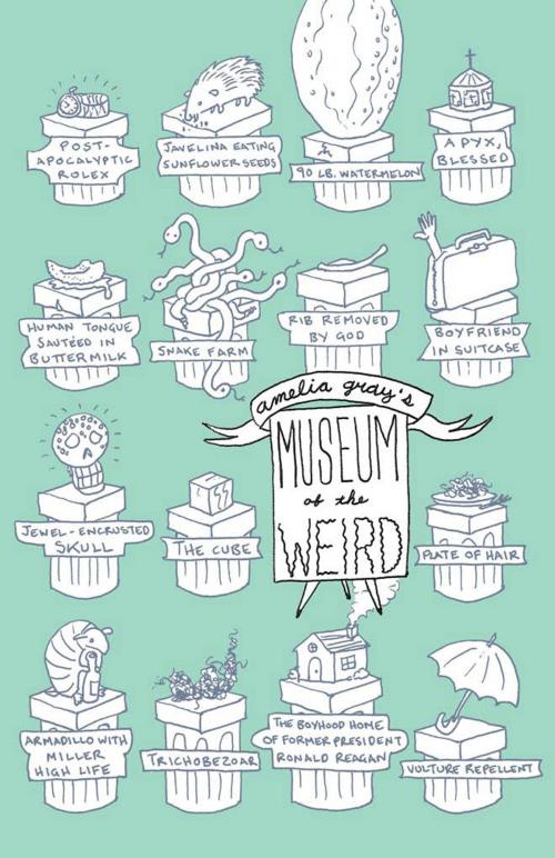 Cover of the book Museum of the Weird by Amelia Gray, University of Alabama Press