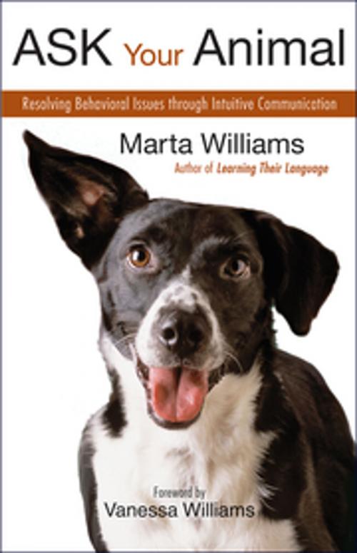Cover of the book Ask Your Animal by Marta Williams, New World Library