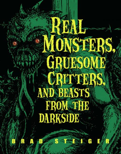 Cover of the book Real Monsters, Gruesome Critters, and Beasts from the Darkside by Brad Steiger, Visible Ink Press