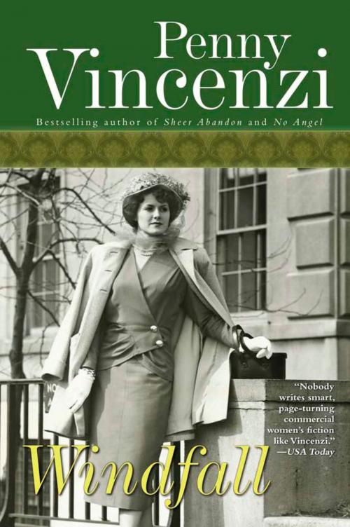 Cover of the book Windfall by Penny Vincenzi, ABRAMS