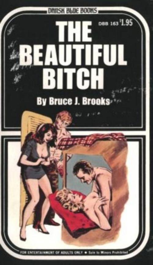 Cover of the book The Beautiful Bitch by Brooks, Bruce J., Olympia Press