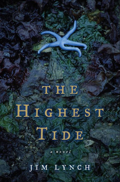 Cover of the book The Highest Tide by Jim Lynch, Bloomsbury Publishing