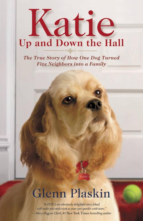 Cover of the book Katie Up and Down the Hall by Glenn Plaskin, Center Street