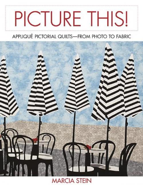 Cover of the book Picture This! by Marcia Stein, C&T Publishing