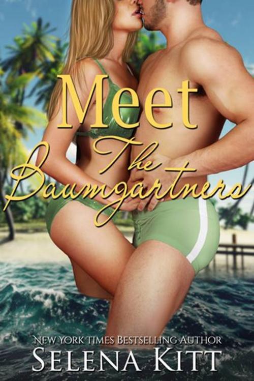 Cover of the book Meet the Baumgartners by Selena Kitt, Excessica