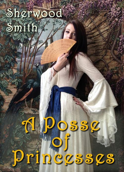 Cover of the book A Posse of Princesses by Sherwood Smith, Book View Cafe