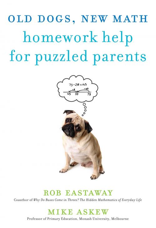 Cover of the book Old Dogs, New Math by Rob Eastaway, Mike Askew, The Experiment