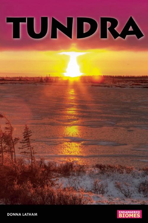 Cover of the book Tundra by Donna Latham, Nomad Press