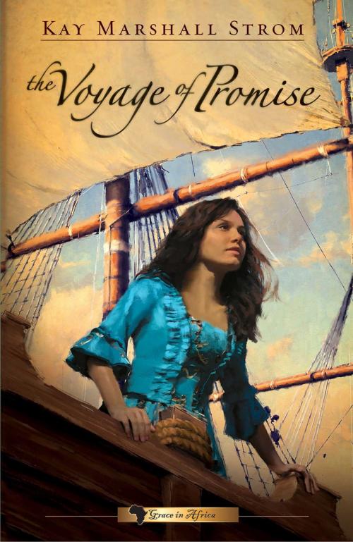 Cover of the book The Voyage of Promise by Kay Marshall Strom, Abingdon Fiction