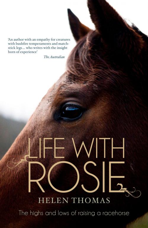 Cover of the book Life with Rosie by Helen Thomas, Allen & Unwin