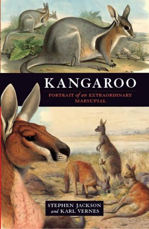 Cover of the book Kangaroo by Stephen Jackson, Karl Vernes, Allen & Unwin