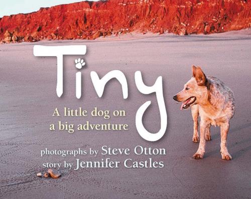 Cover of the book Tiny by Steve Otton, Jennifer Castles, Allen & Unwin