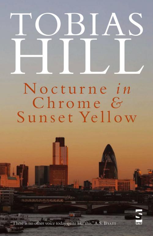 Cover of the book Nocturne in Chrome & Sunset Yellow by Tobias Hill, Salt Publishing Limited