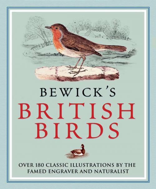 Cover of the book Bewick’s British Birds by Thomas Bewick, Arcturus Publishing