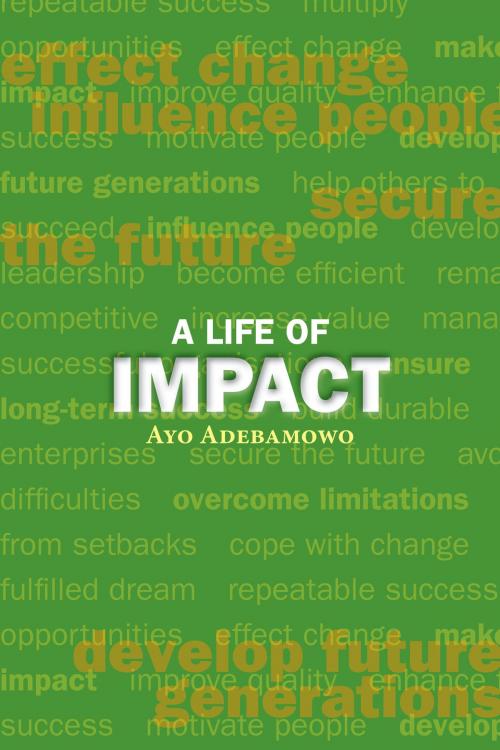 Cover of the book A Life of Impact by Ayo Adebamowo, Imprimata Publishers