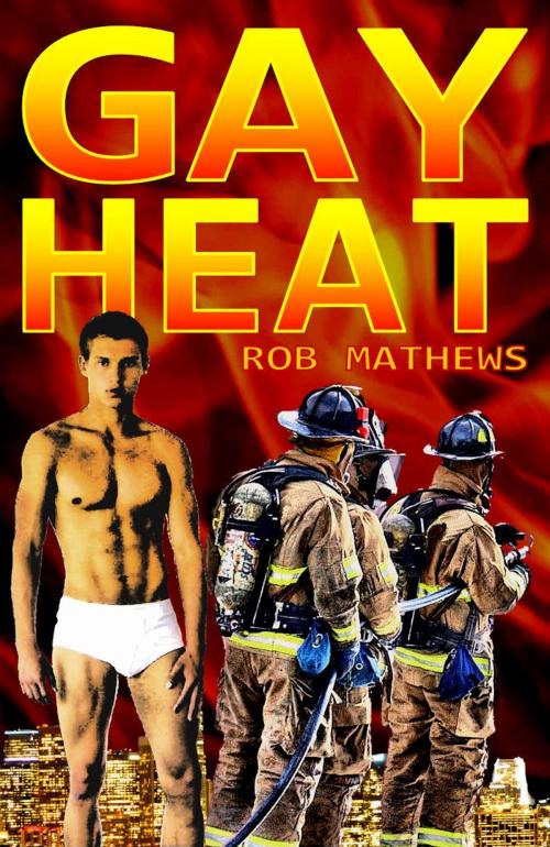 Cover of the book Gay Heat by Rob Mathews, Swordworks & Miro Books