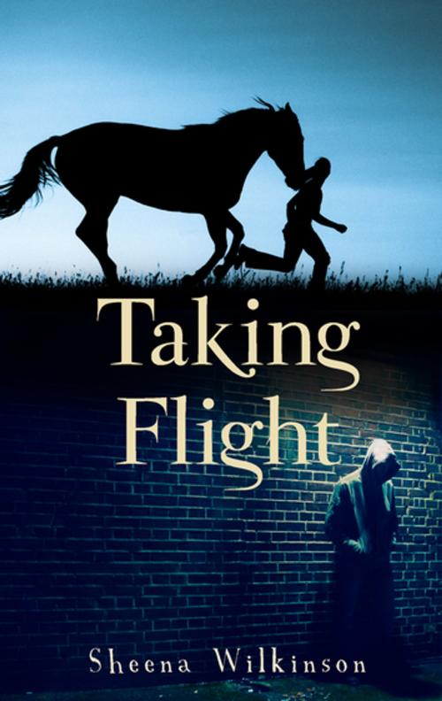 Cover of the book Taking Flight by Sheena Wilkinson, Little Island Books