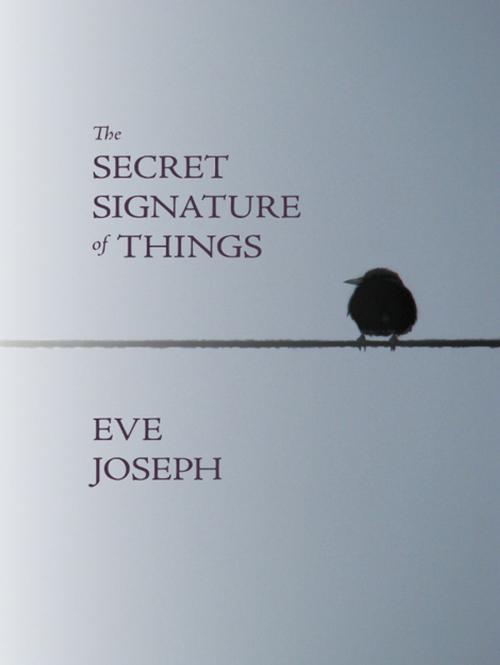 Cover of the book The Secret Signature of Things by Eve Joseph, Brick Books