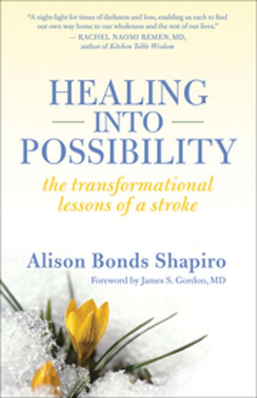 Cover of the book Healing into Possibility by Alison Bonds Shapiro, New World Library