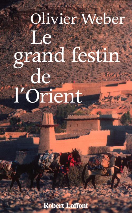 Cover of the book Le grand festin de l'Orient by Olivier WEBER, Groupe Robert Laffont