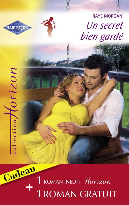 Cover of the book Un secret bien gardé - Une rencontre séduisante (Harlequin Horizon) by Raye Morgan, Judith McWilliams, Harlequin
