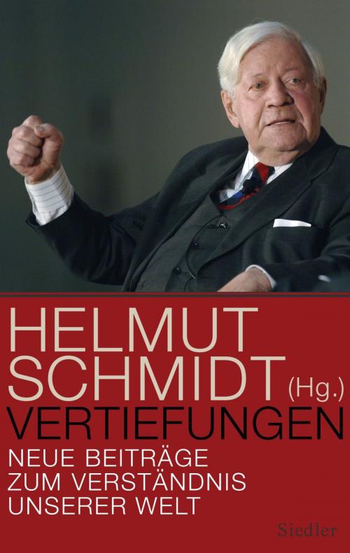 Cover of the book Vertiefungen by , Siedler Verlag