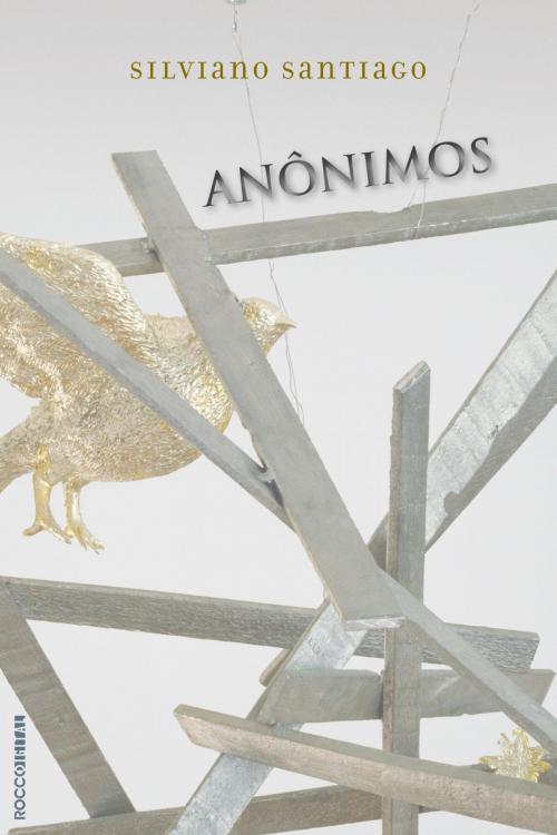 Cover of the book Anônimos by Silviano Santiago, Rocco Digital