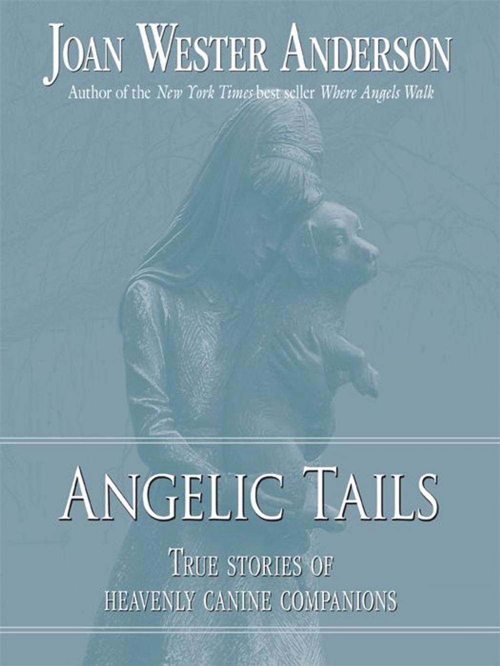 Big bigCover of Angelic Tails