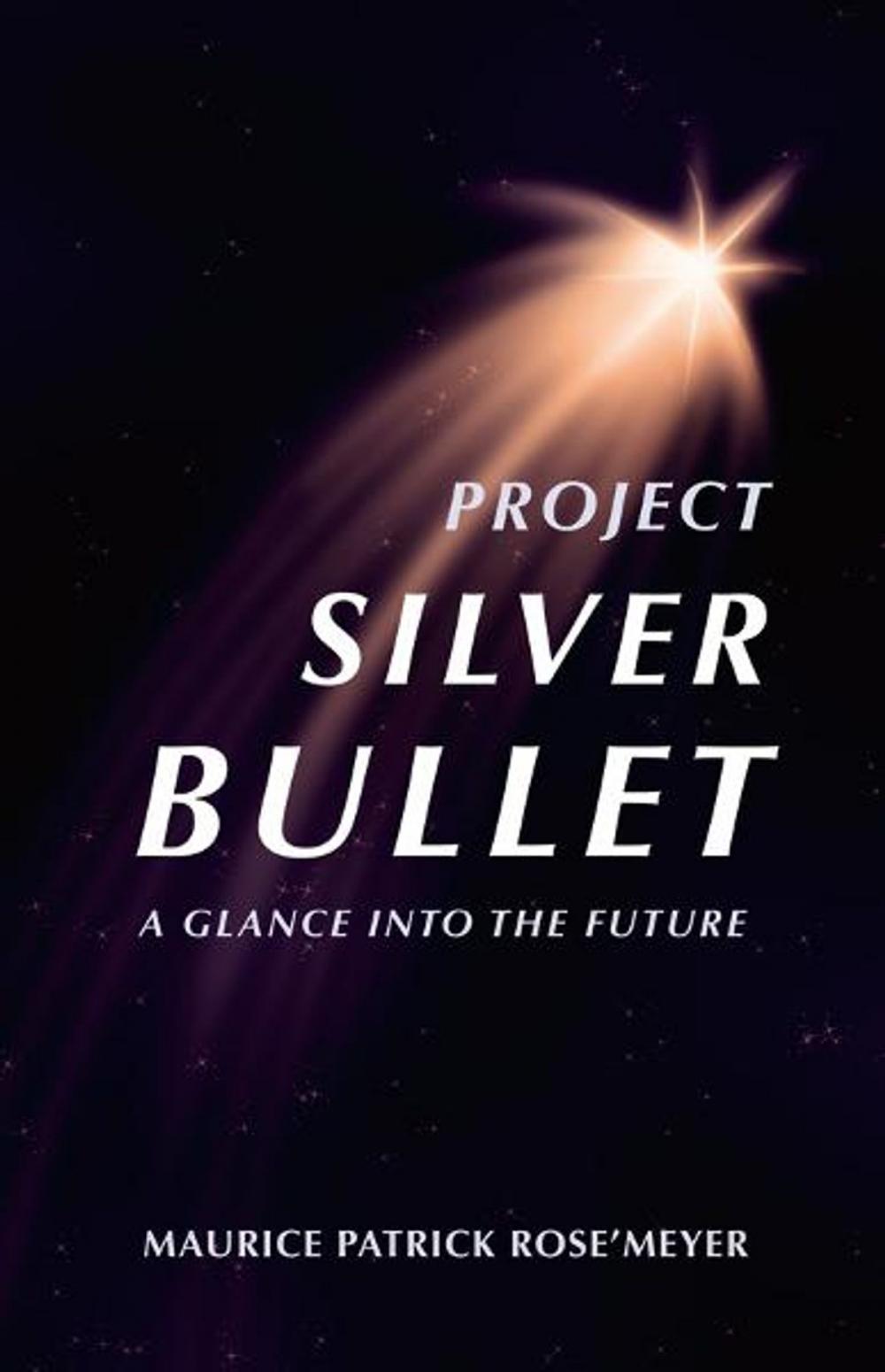 Big bigCover of Project Silver Bullet