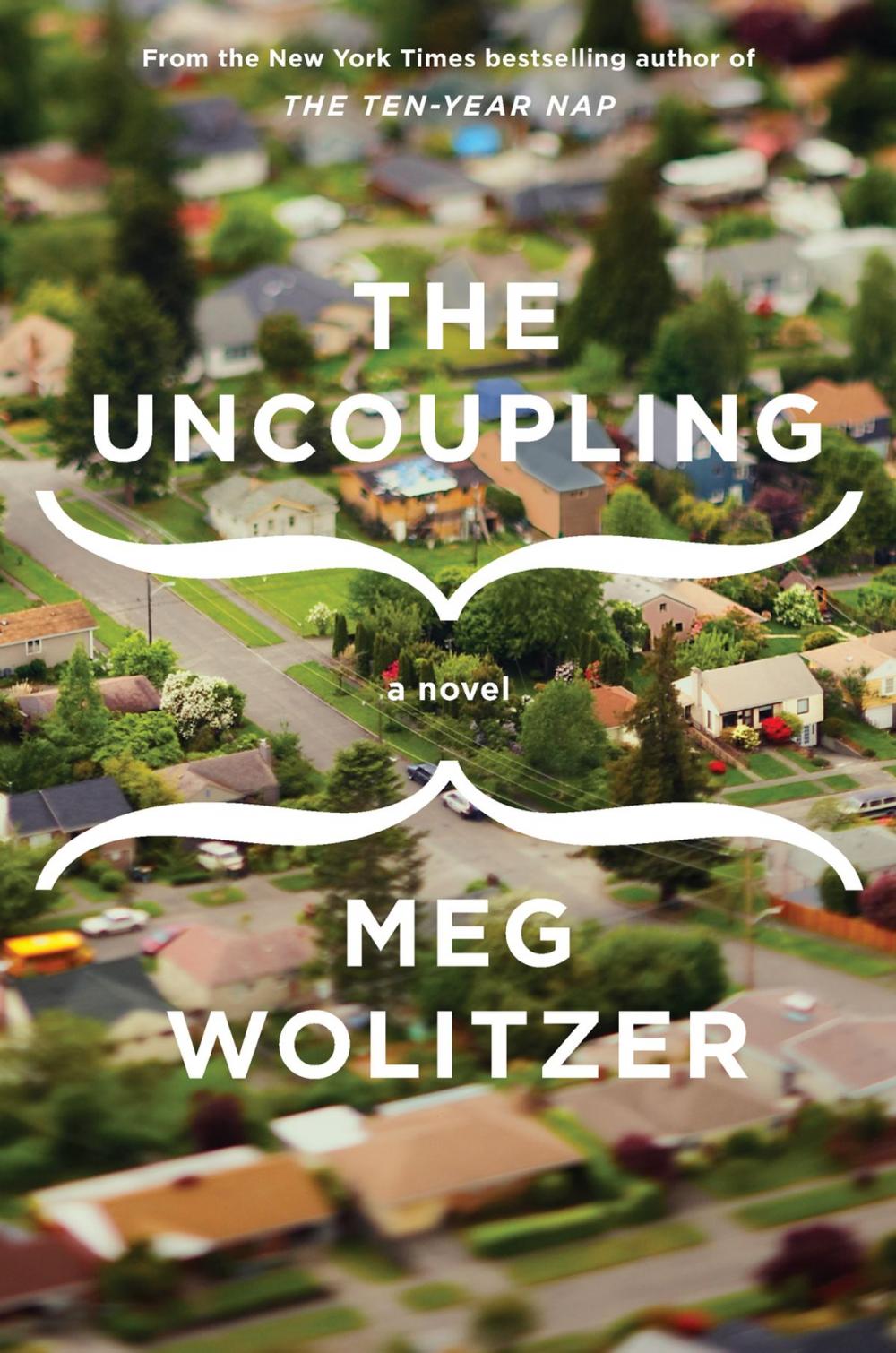 Big bigCover of The Uncoupling