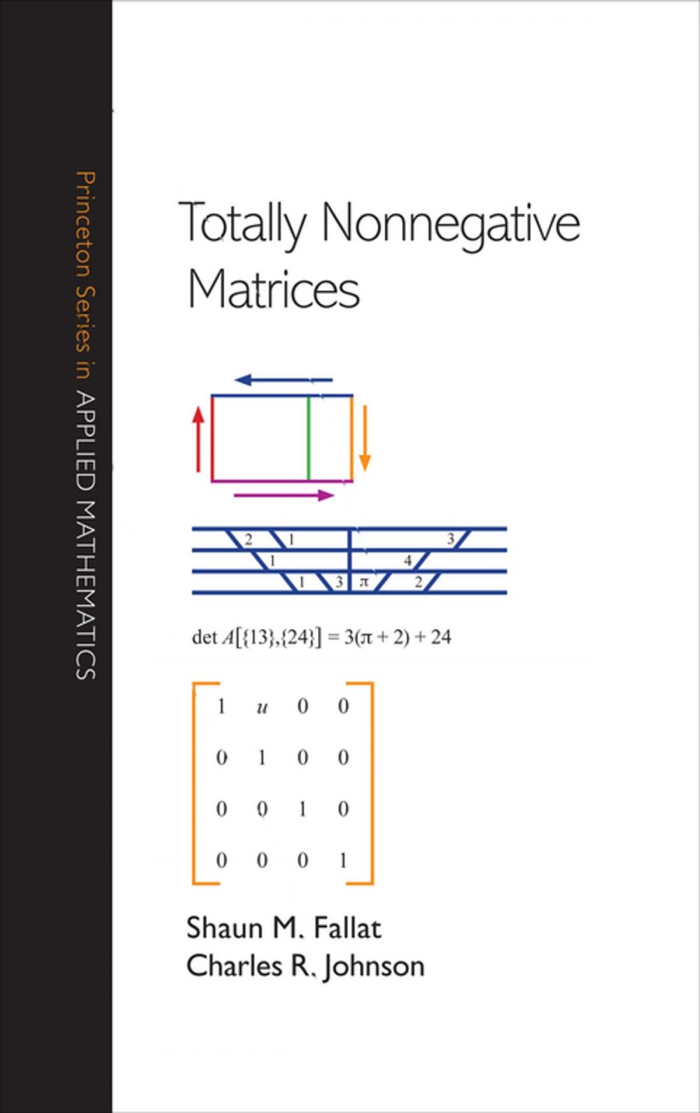 Big bigCover of Totally Nonnegative Matrices
