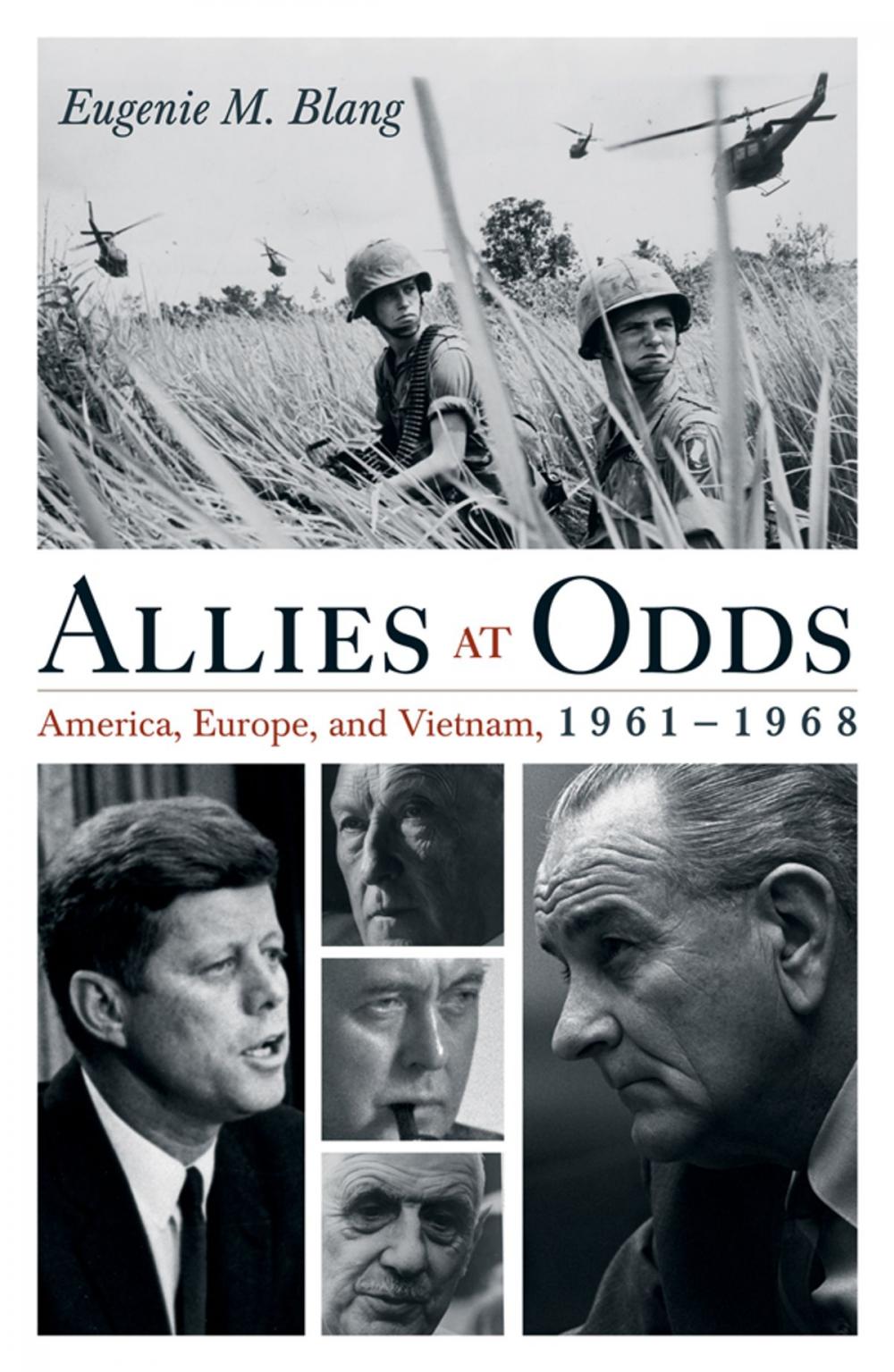 Big bigCover of Allies at Odds