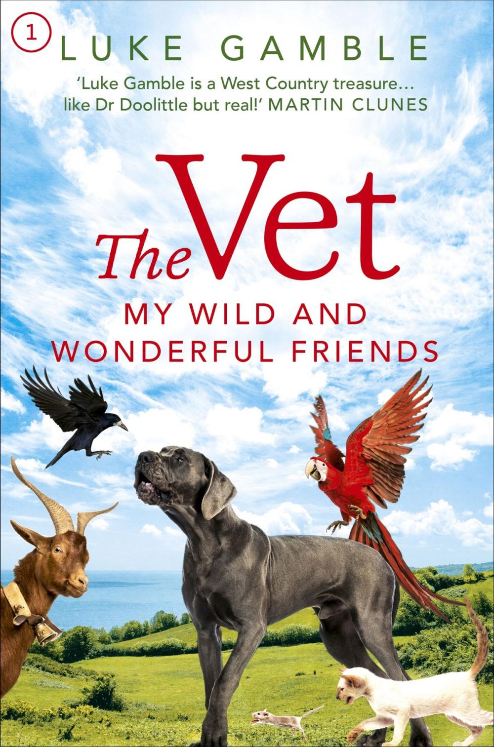 Big bigCover of The Vet: my wild and wonderful friends