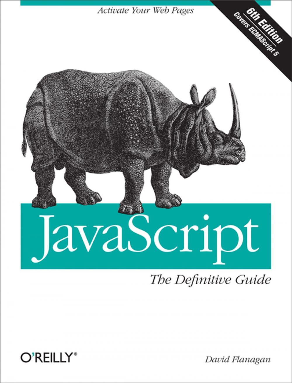 Big bigCover of JavaScript: The Definitive Guide