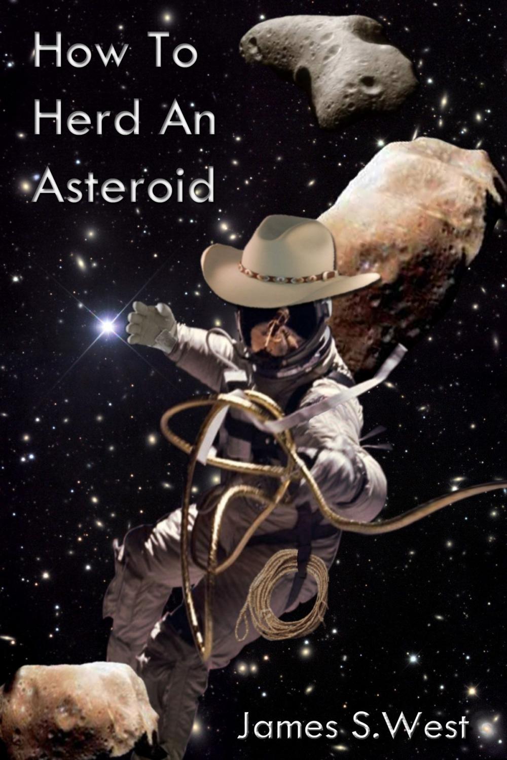 Big bigCover of How to Herd an Asteroid