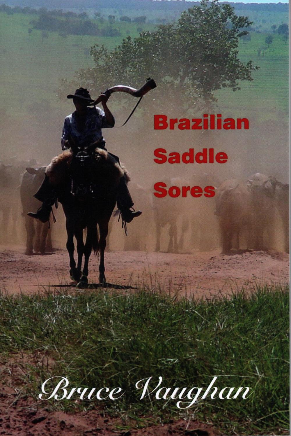 Big bigCover of Brazilian Saddle Sores